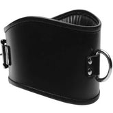 BDStyle Fetish Neck Posture Collar - Bondage Accessory with D-Ring Collars and Leads